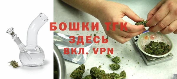 индика Каменск-Шахтинский