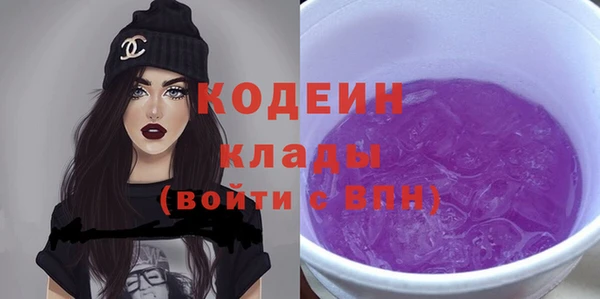 индика Каменск-Шахтинский