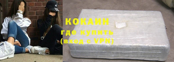 индика Каменск-Шахтинский