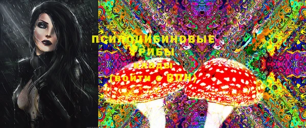 прущая мука Карпинск