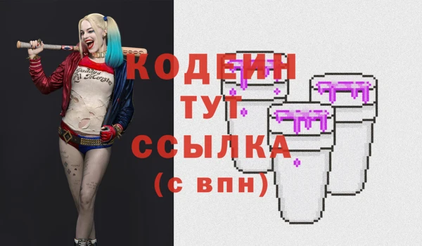 индика Каменск-Шахтинский