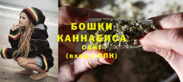 индика Каменск-Шахтинский
