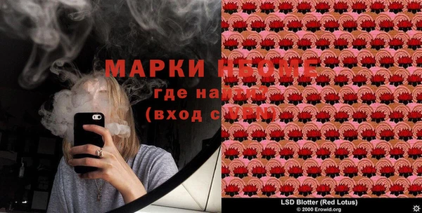 индика Каменск-Шахтинский