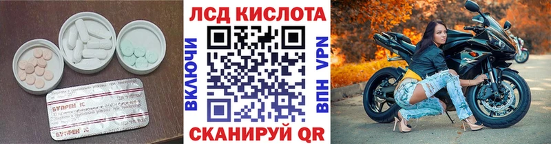 Купить закладки  Саров  Лсд 25 экстази ecstasy 